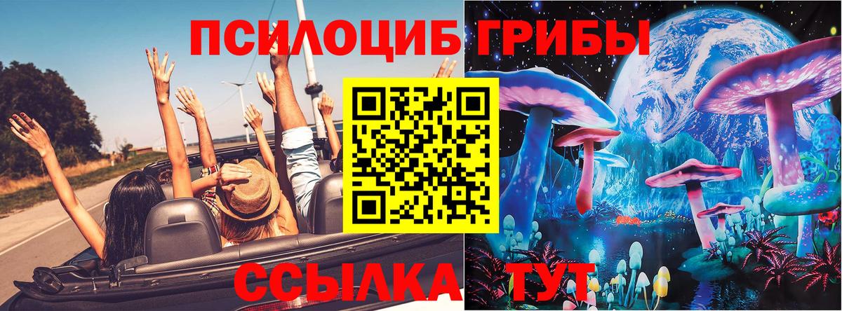 Галлюциногенные грибы прущие грибы Всеволожск