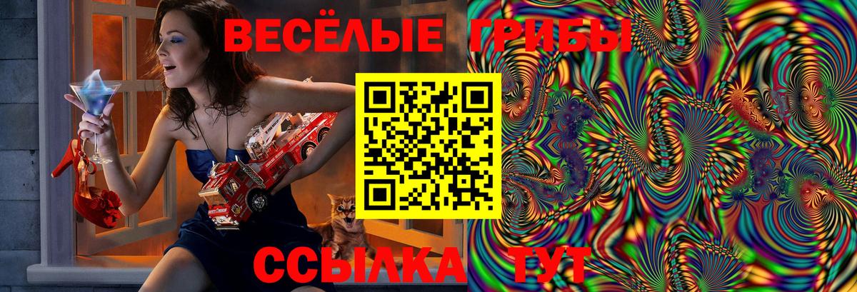 закладка  Вход с VPN  Всеволожск  Галлюциногенные грибы ЛСД  Галлюциногенные грибы Cubensis 